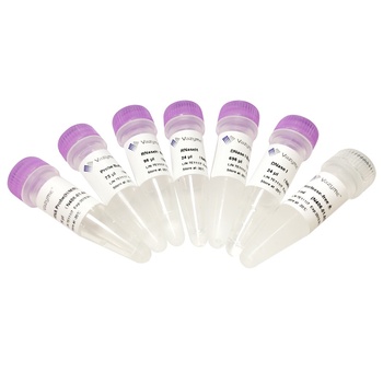 Vazyme - Ribo-off rRNA Depletion Kit (Human/Mouse/Rat)
