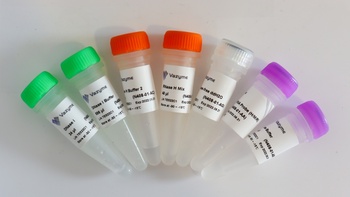 Vazyme - Ribo-off Globin & rRNA Depletion Kit (Human/Mouse/Rat)