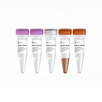 Vazyme - Ribo-MagOff rRNA Depletion Kit (Human/Mouse/Rat)