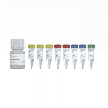 Vazyme - VAHTS ssDNA Library Prep Kit for Illumina