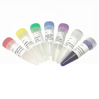 Vazyme - Phanta Super-Fidelity DNA Polymerase