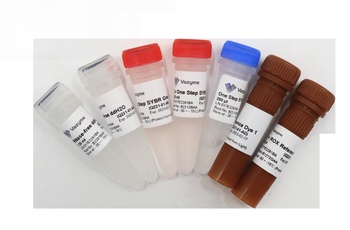 Vazyme - HiScript II One Step qRT-PCR SYBR Green Kit
