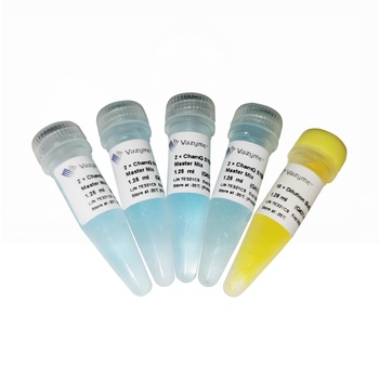 Vazyme - ChamQ SYBR Color qPCR Master Mix (Without ROX)
