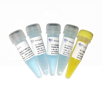 Vazyme - ChamQ SYBR Color qPCR Master Mix (Low ROX Premixed)