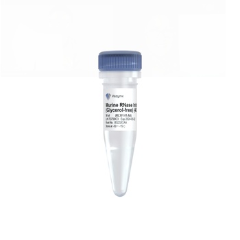 Vazyme - Murine RNase Inhibitor (Glycerol-free)