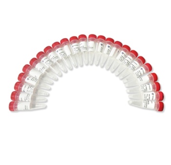 Vazyme - VAHTS RNA Adapters Set 8 for MGI