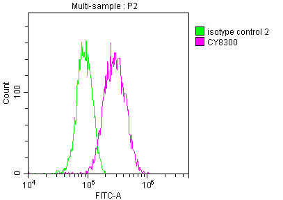 AKR1C3 Antibody