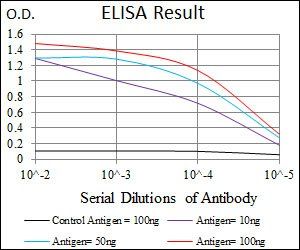 AlCAM Antibody