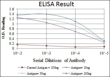 ApoE Antibody