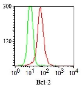 BCL2 Antibody