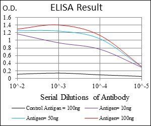 BRCA1 Antibody