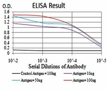 CBX2 Antibody