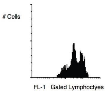 Mouse Human CD11a, conjugated with PE Antibody