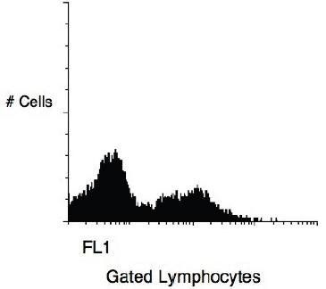 Mouse Human CD11b, conjugated with Biotin Antibody