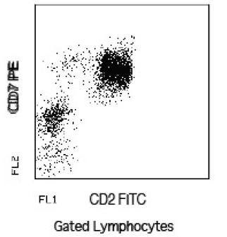 Mouse Human CD2 FITC - CD7 PE Antibody