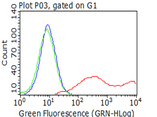 CD272 Antibody