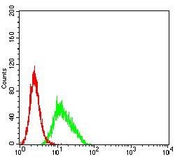 CD274 Antibody