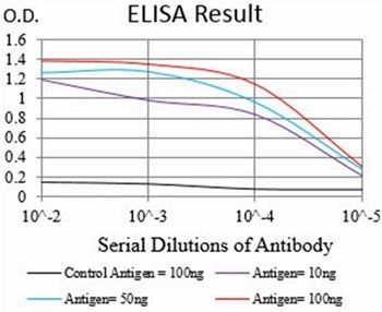 CD36 Antibody