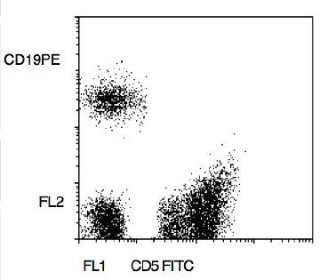 Mouse Human CD5 FITC - CD19 PE Antibody