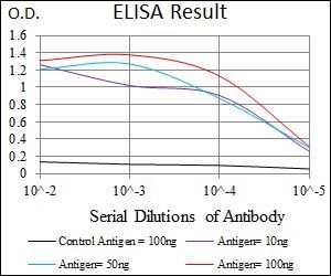 CD5 Antibody