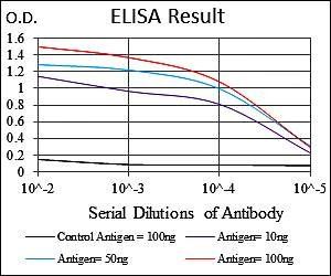 CD9 Antibody