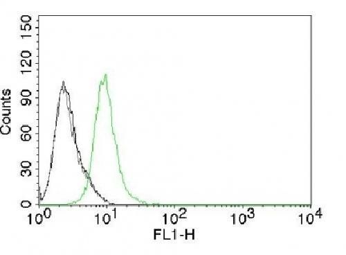 CDKN1B Antibody