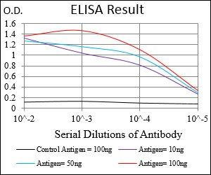CDX2 Antibody