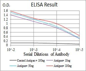 CSF1R Antibody