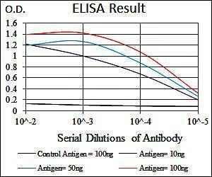 DCX Antibody