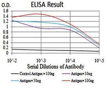 DDX20 Antibody
