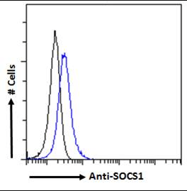 SOCS1 Antibody