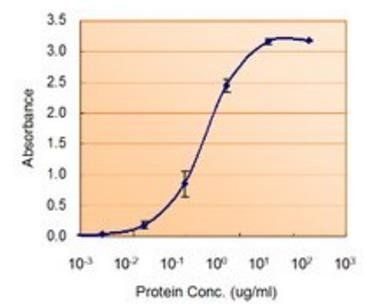 SOD1 Antibody