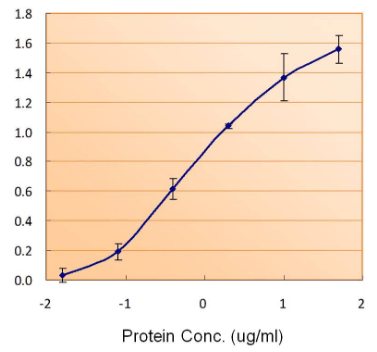 FTL Antibody