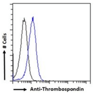 Thrombospondin Antibody