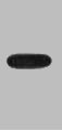 EBFP Antibody
