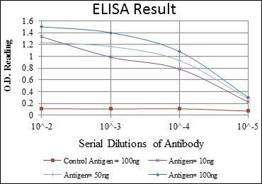 EIF4E Antibody