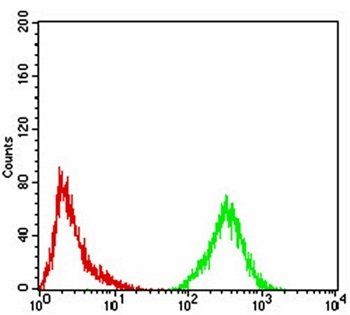 phospho-Eralpha(Tyr-537) Antibody