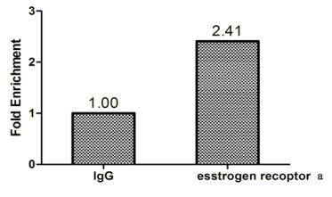 ESR1 Antibody