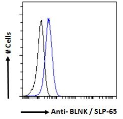 BLNK/SLP-65 Antibody
