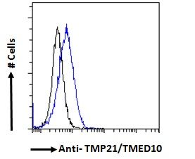 TMP21/TMED10 Antibody