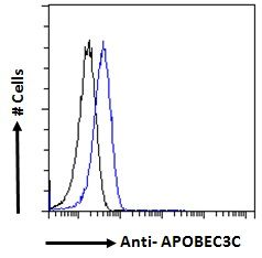 Goat anti-APOBEC3C (C-term) Antibody