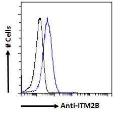 ITM2B Antibody