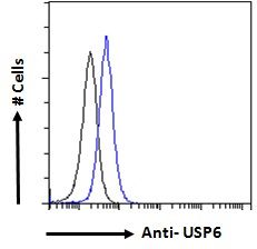 Goat anti-USP6 (aa142-155) Antibody