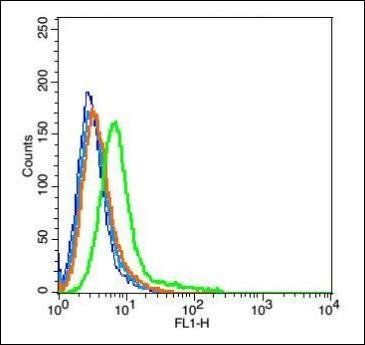 GABARE Rabbit Polyclonal Antibody