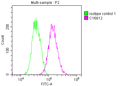 NR3C1 Antibody