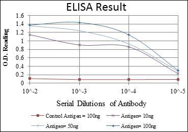 GRK2 Antibody