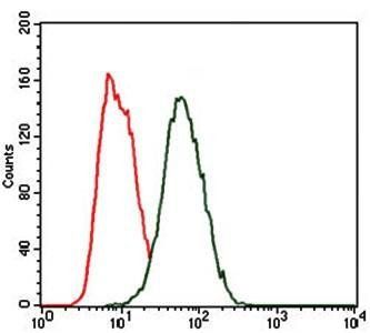 HEXA Antibody