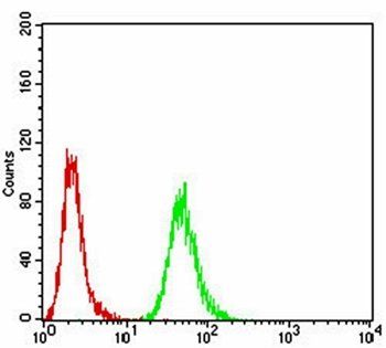 HIST2H3C(27Ac) Antibody