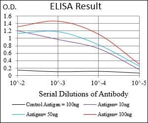 HOXB4 Antibody