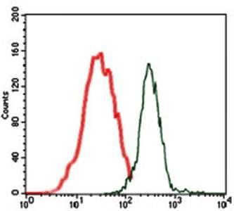 human Splunc2 Antibody